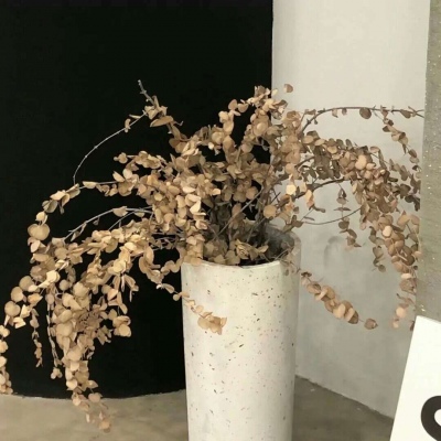 Furry绘画改稿技巧兽圈社群